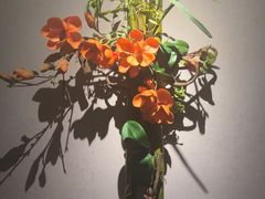 -神户赤童日式烤肉(金地广场店)