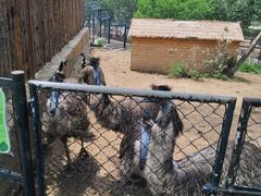 -大连森林动物园