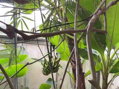 -金稼园·金平湖农家菜