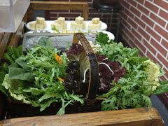 -南门四季铜锅涮肉(左家庄店)