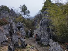 -千岛湖石林