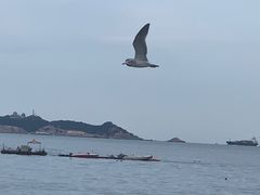-蓬莱阁景区