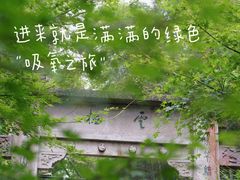 -西湖风景区十里琅珰-五云山