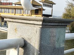 -海埂大坝