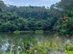 -水濂山森林公园