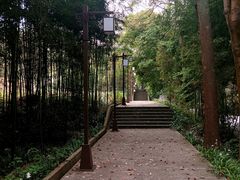 -峨眉山报国寺