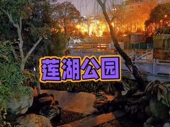 -莲湖公园