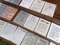 -人民公园-相亲角