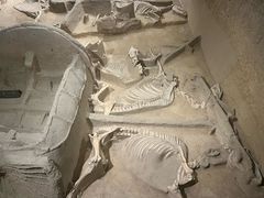 -洛阳周王城天子驾六博物馆