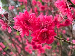 -白水带风景区体育公园