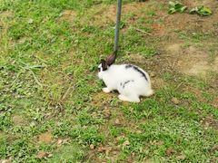 -紫颐香薰山谷景区