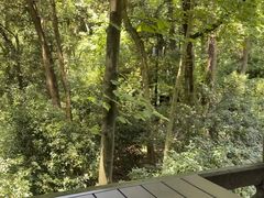 -宋宴(虎跑店)