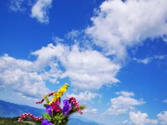 -妙峰山风景名胜区