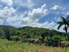 -三亚南山文化旅游区