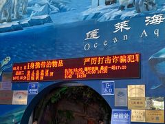 -蓬莱欧乐堡海洋极地世界