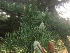 -白塘生态植物园