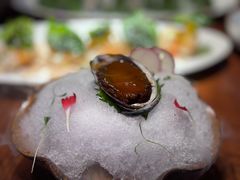 -映水芙蓉(上海万象城店)