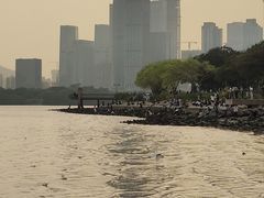-深圳湾公园(南山区)