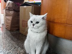 -剥皮寮历史街区