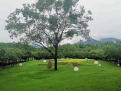 -福建鲤鱼洲酒店