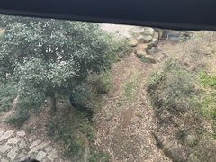 -苏州环秀晓筑养生度假村