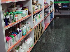 -瑞鹏宠物医院华南总院·夜诊·心脏科·骨科