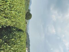-侘山民宿(杭州西湖龙坞店)
