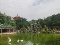 -广东圆玄道观