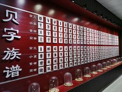 -青岛贝壳博物馆
