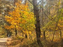 -帽儿山国家森林公园