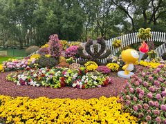 -上海共青森林公园