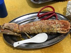 -蚝专家(北滘店)