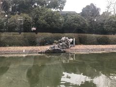 -苏州古运河游船(新市桥码头)