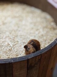 -Zoolung Zoolung动物主题公园(海信广场店)