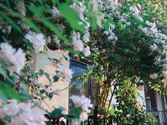 门面-Cafe Villa