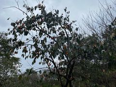 -丹山赤水风景名胜区