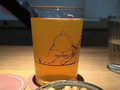 -MEDISN·药厂