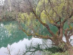 -贵阳市花溪国家城市湿地公园