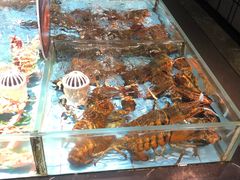 -紫阳海鲜楼·传承闽味(长乐路总店)