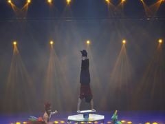 -重庆国际马戏城
