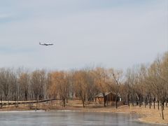 -东郊湿地公园