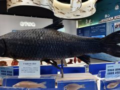 -千岛湖鱼味馆(十字街总店)