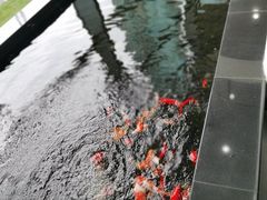 -上海星瀚奔驰4S店(长寿路店)