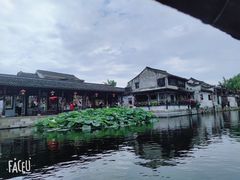 -西塘人家•黑金冠本地好店