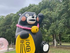 -上海海湾国家森林公园