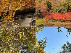 -南京金牛湖风景区