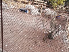 -猎鹰谷实弹射击俱乐部
