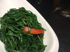 -蒙料·手把肉(望京店)