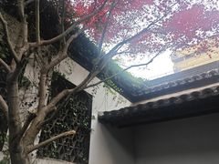-南京市民俗博物馆(甘熙宅第)