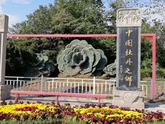 -曹州牡丹园